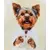 milk/yorkshire terrier print 