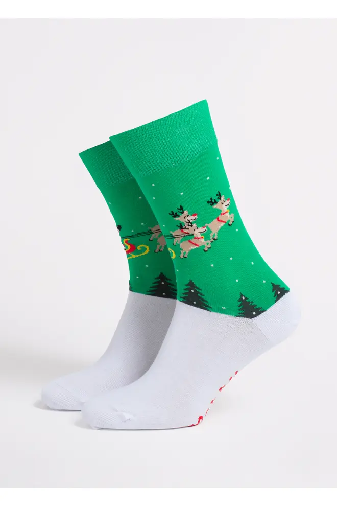 Herren-Weihnachtssocken MS3 NEW YEAR 2606 green