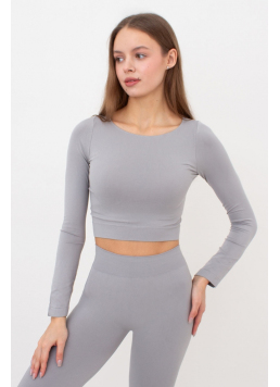Short Top with Long Sleeves CROP TOP (griffin)